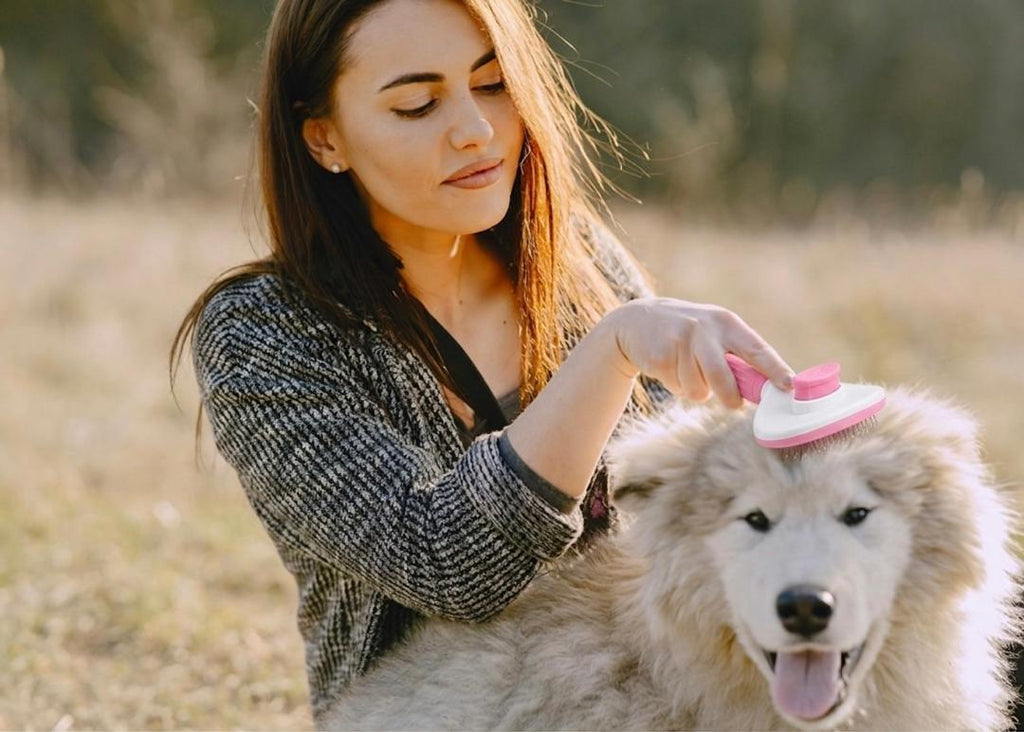 Selbstreinigende Fellbürste für Hund & Katze — 1 Knopfdruck