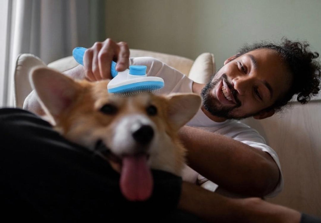 Selbstreinigende Fellbürste für Hund & Katze — 1 Knopfdruck